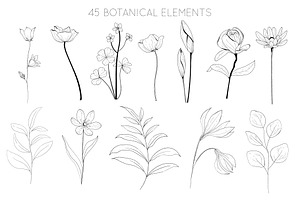 Botanical Hand Drawn Collection