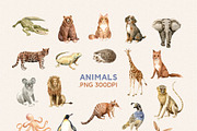 Kids Animal Alphabet and Letter Card, an Animal Illustration by Julia M. Watercolor (Thumbnail 8 of 10)