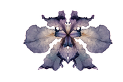 Heum Co. Botanical Inkblot Art, a Decorative Illustration by milatovar (Thumbnail 8 of 20)