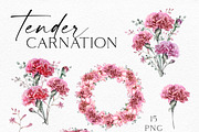 Red Carnation, an Illustration by Olga Koelsch (Thumbnail 7 of 8)