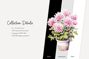 100 watercolor house plants clip art, a Seasonal Illustration by Poppy Lane Studio (Thumbnail 12 of 12)
