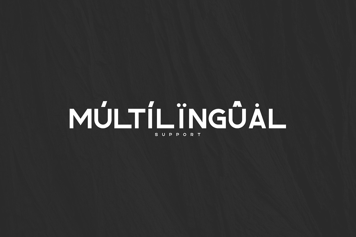 Rhino Bold font + Styles | 70% off, a Sans Serif Font by VP Fonts (Photo 8 of 9)