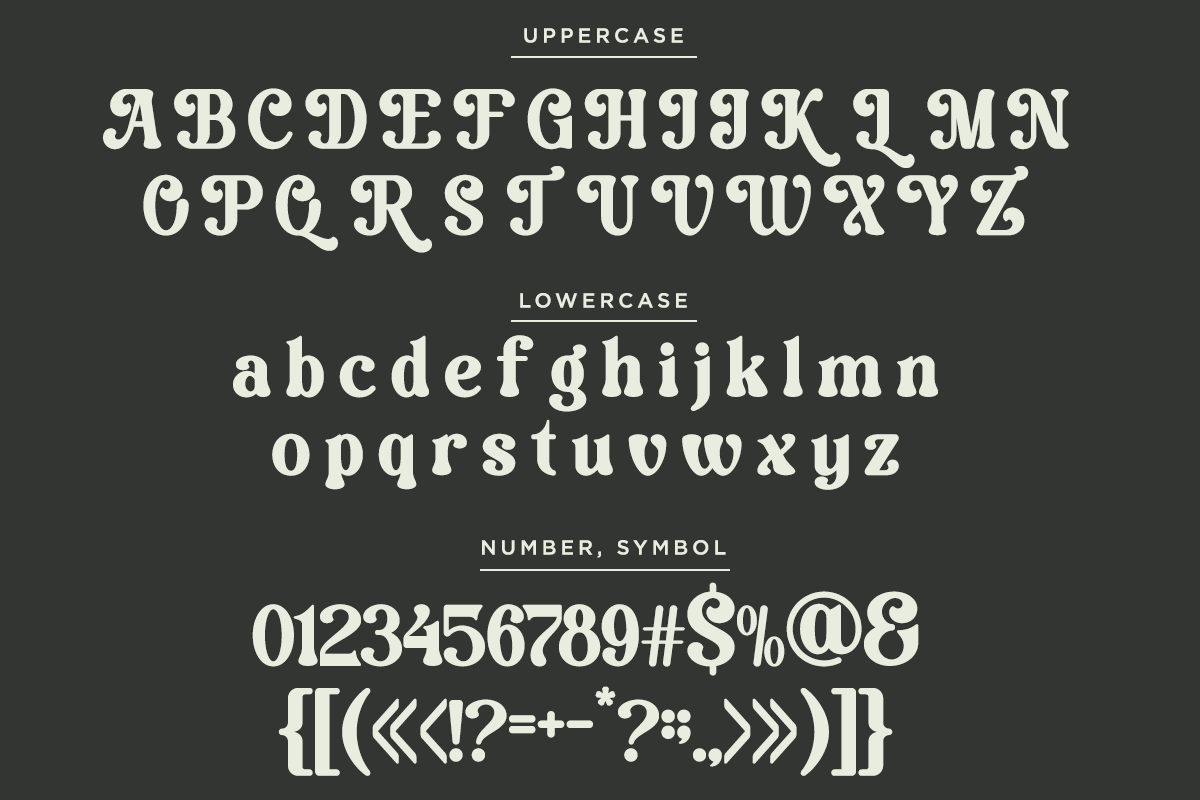 Vilmely Story - Retro Elegant Font, a Serif Font by Font Liner (Photo 11 of 13)