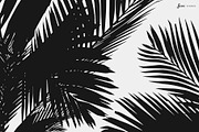 100 Vector Plant silhouettes, a Decorative Illustration by JAZZ STUDIO (Thumbnail 4 of 6)