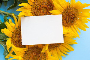 sunflowers & card