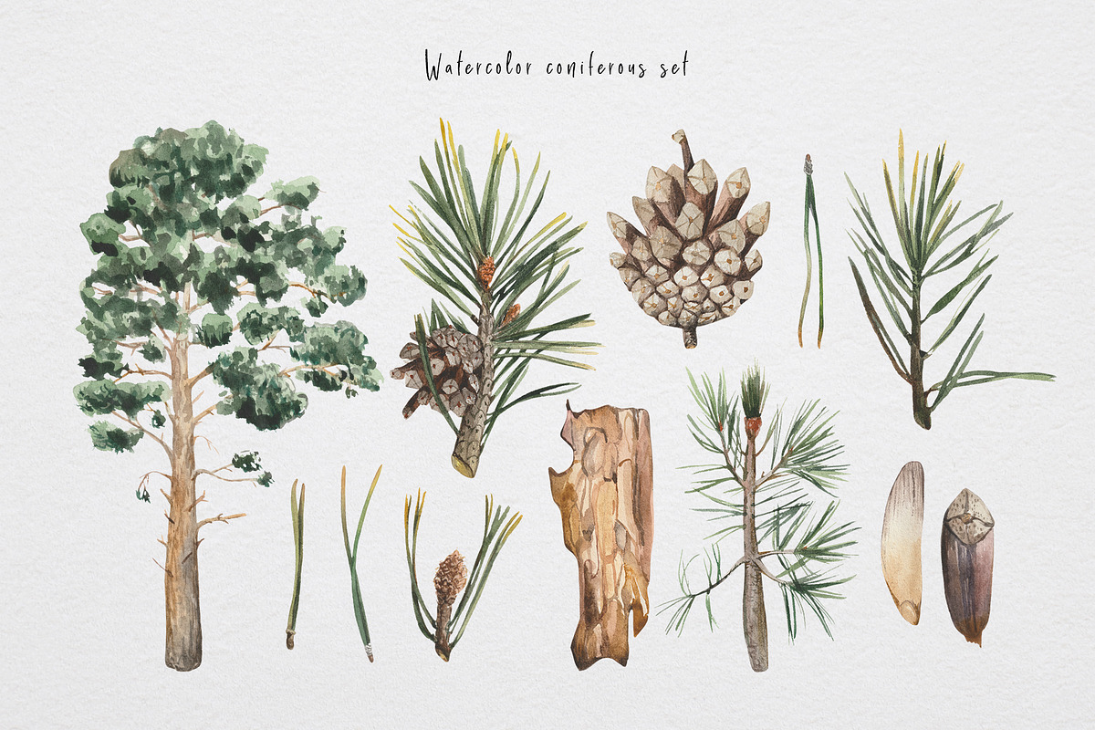 Hiking trails, a Decorative Illustration by Design X0 (Photo 3 of 16)