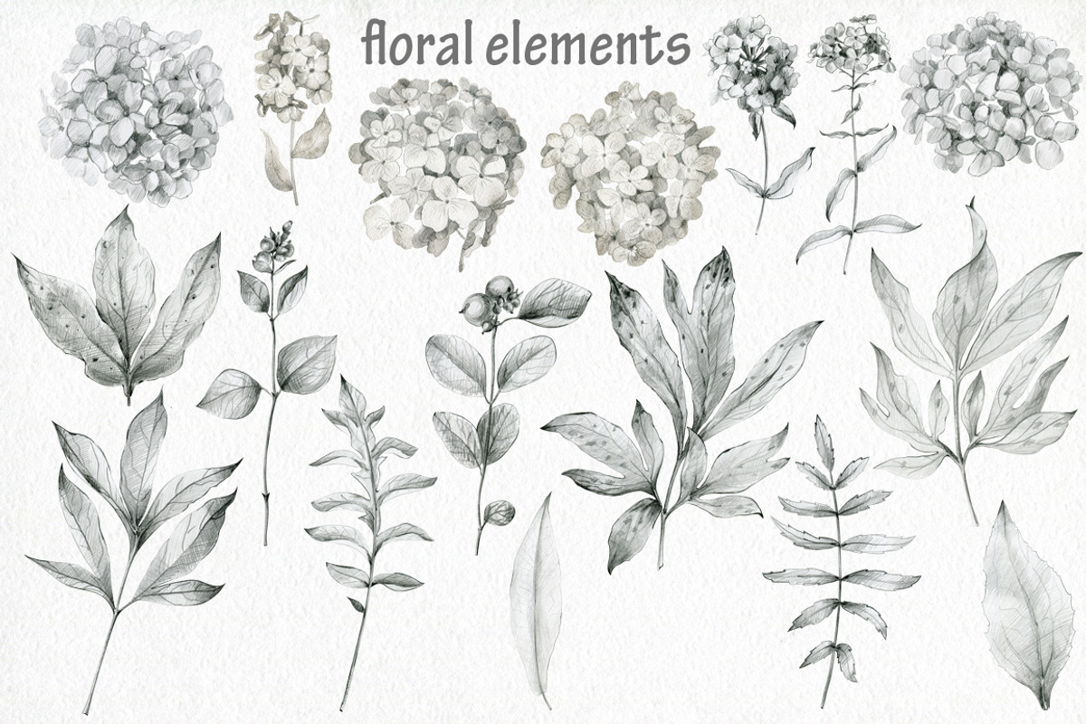 Butterflies and floral collection., an Illustration by TaPilipa (Photo 3 of 13)