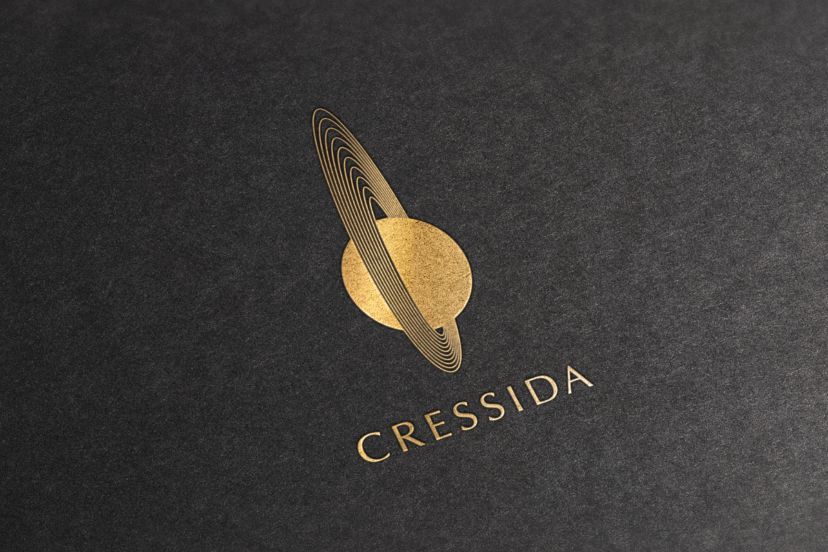 Midnight Sky Logo Collection, a Branding & Logo Template by Michael Rayback Design (Photo 8 of 13)