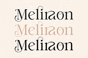 Making Standing - Ligature Typeface, a Serif Font by Graphicxell (Thumbnail 12 of 15)