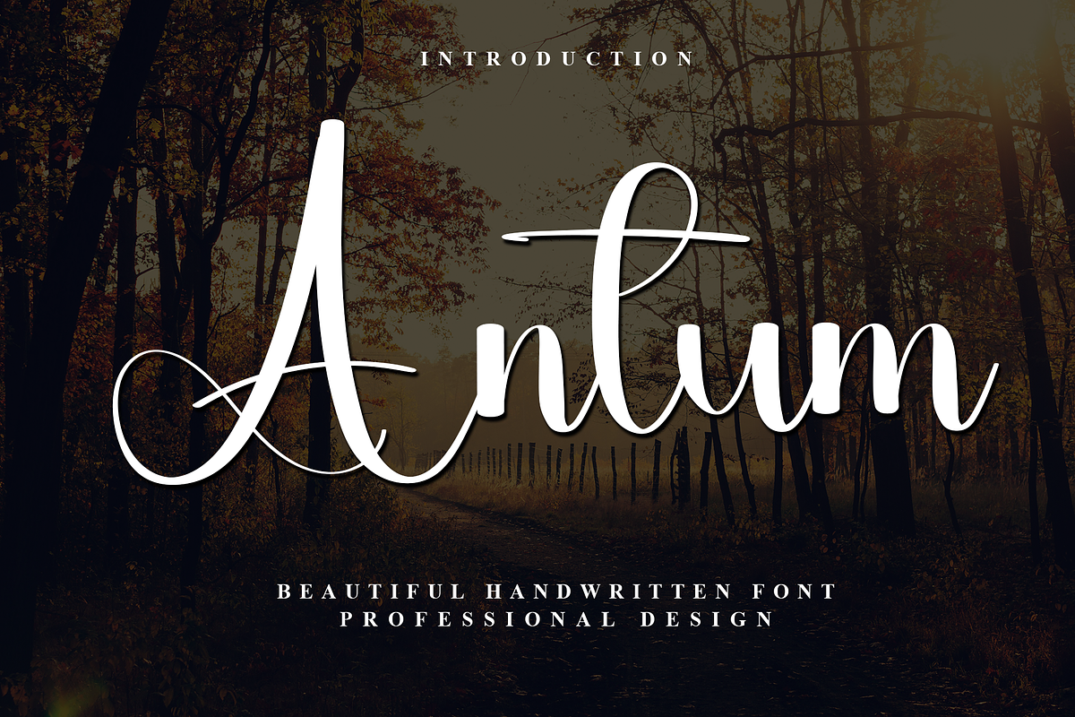 Antum, a Handwritten Font by InermediaSTUDIO (Photo 1 of 7)