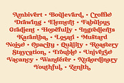 Raspberie - Retro Modern Font, a Serif Font by Variatype (Thumbnail 10 of 15)