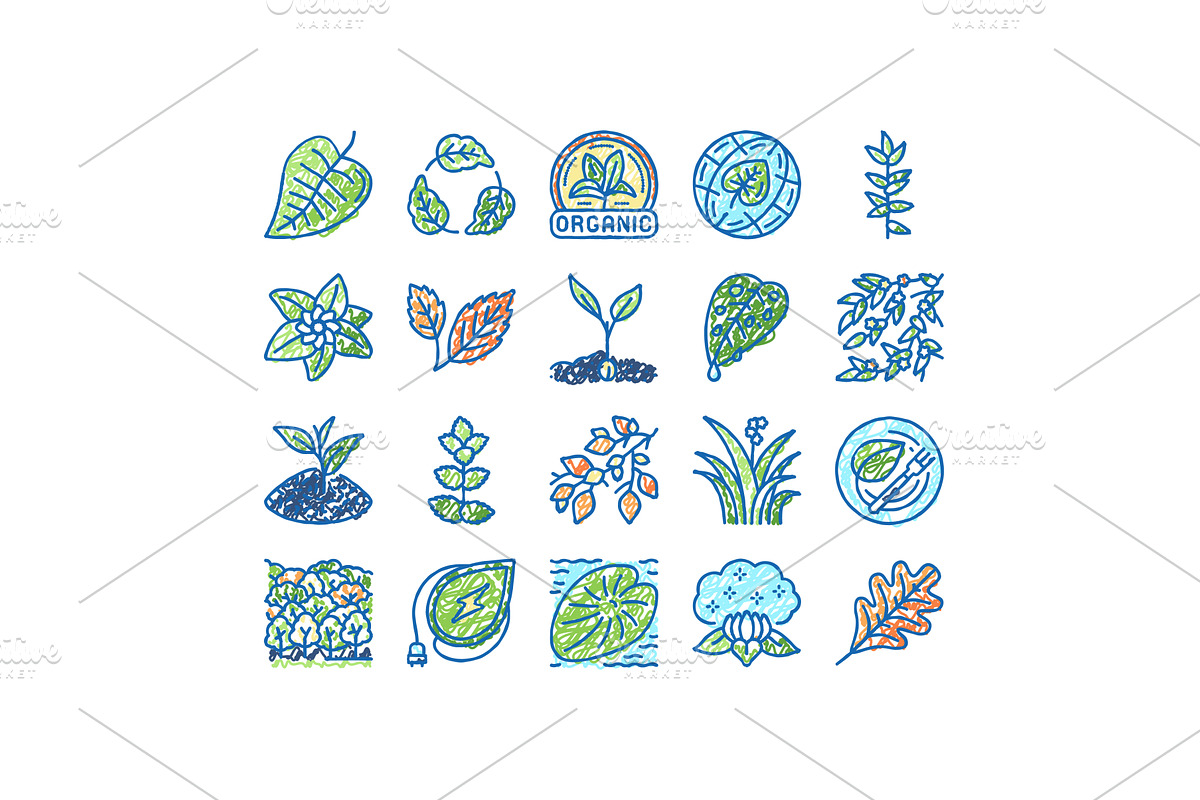 Leaf Branch Natural Foliage Tree, an Object Illustration by pikepicture