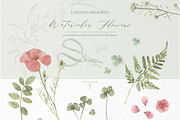 pressed floral watercolor collection, an Illustration by beehouse studio (Thumbnail 2 of 9)