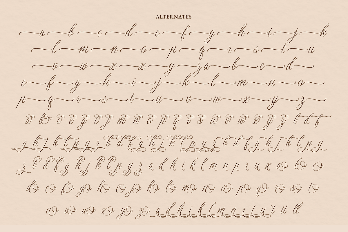 Dellatino - An Elegant Script Font, a Script Font by Ainun Jinan (Photo 12 of 12)