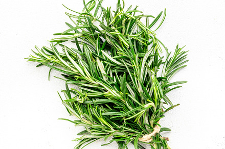 Fresh rosemary bunch and jute rope on white stone table backgrou, a Food & Drink Photo by 5PH