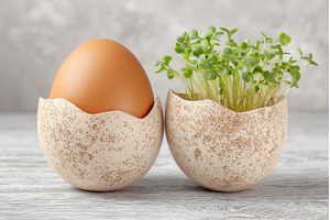 On a wooden table, fresh micro, a Food & Drink Photo by ZinetroN