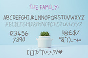 Soda Lime Font Duo, a Handwritten Font by Salt & Pepper Designs (Thumbnail 4 of 6)