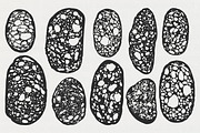 Bread Imprints: 44 Bakery Art, a Food Illustration by Veyla (Thumbnail 3 of 14)