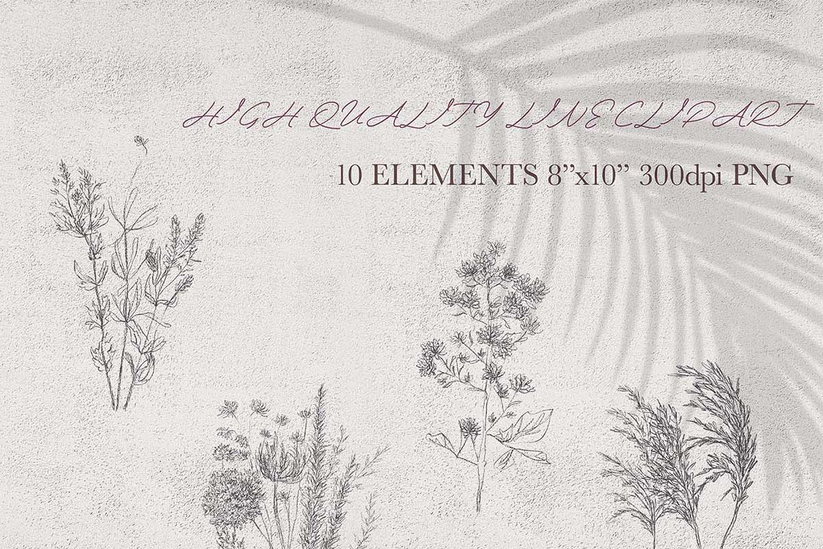 wildflower clipart, an Illustration by JULIA x JULIE's ART (Photo 2 of 2)