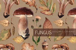 Fungus