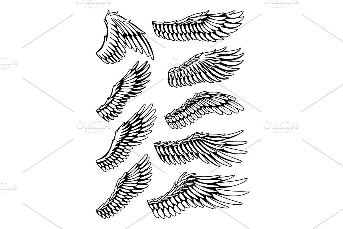 Wings sketch collection, an Object Illustration by Things for designers