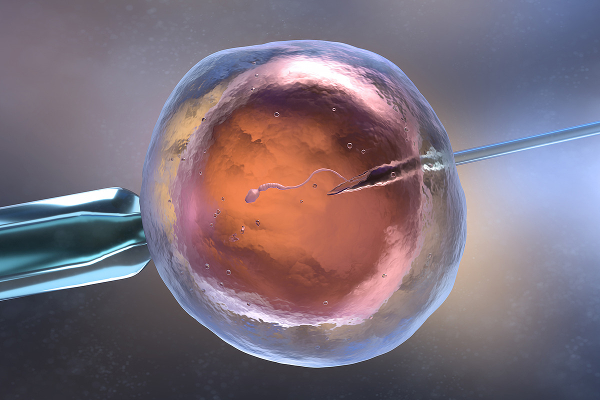Artificial insemination, a Healthcare Illustration by iLexx (Photo 1 of 2)
