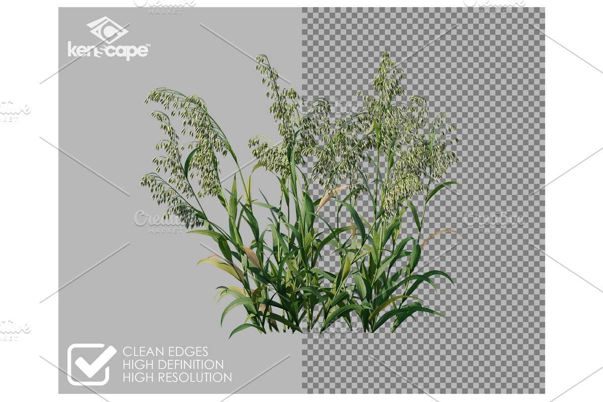 81 Farm Plants Photo Overlays, a Nature Photo by KenScape (Photo 2 of 3)