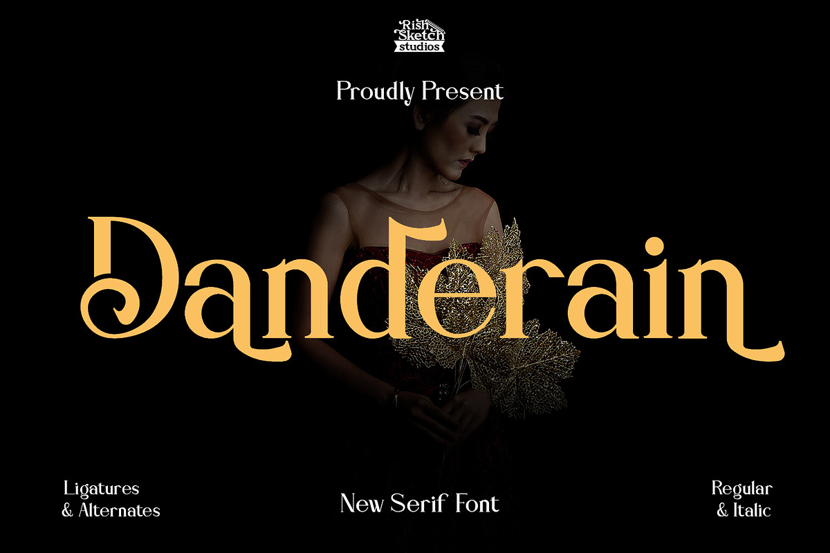 Danderain, a Serif Font by Rishsketch (Photo 1 of 13)