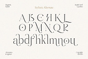 Midnight Obstacle, a Serif Font by Godbless Studio (Thumbnail 8 of 14)
