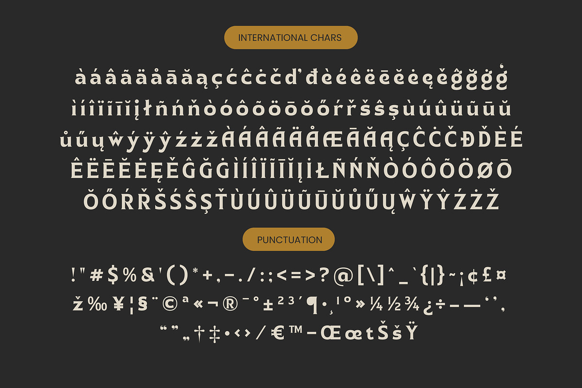 Namio Magah Modern Display Serif, a Serif Font by timelesstype.co (Photo 18 of 20)