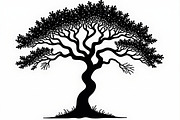 Nature Tree SVG Collection, an Illustration by Amazin_art (Thumbnail 19 of 20)