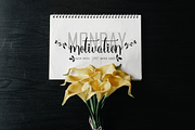 Azelia, a Script Font by Deniz86 (Thumbnail 5 of 8)