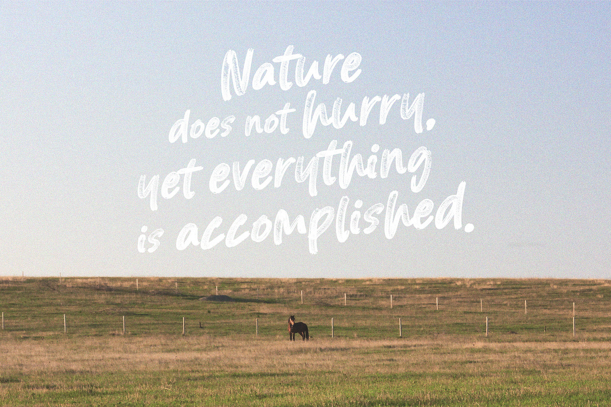 Blured Brush, a Script Font by Ditatype (Photo 10 of 10)