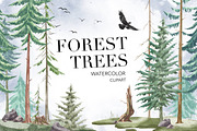 Forest Watercolor Woods Pine Tree, an Illustration by NKTKNS (Thumbnail 1 of 7)