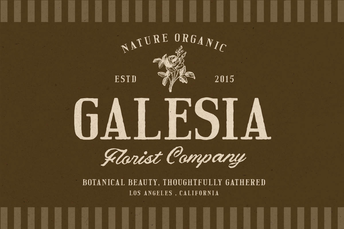 Twilight Archive Romantic Font Duo, a Serif Font by Letterhend Studio (Photo 3 of 10)
