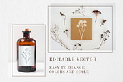 FOREST TREASURES big vector bundle, a Decorative Illustration by Lena Nikolaeva (Thumbnail 8 of 16)