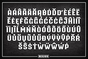 Regius Typeface, a Serif Font by Jan-Christian Bruun (Thumbnail 11 of 12)