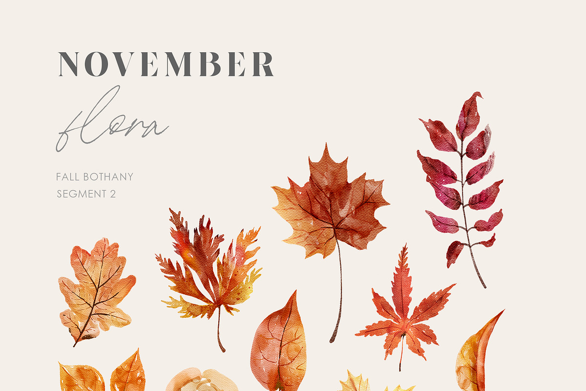 NOVEMBER Watercolor Fall Set, an Object Graphic by Kaleriia (Photo 3 of 11)