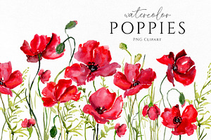 Watercolor Red Poppies Flowers Png