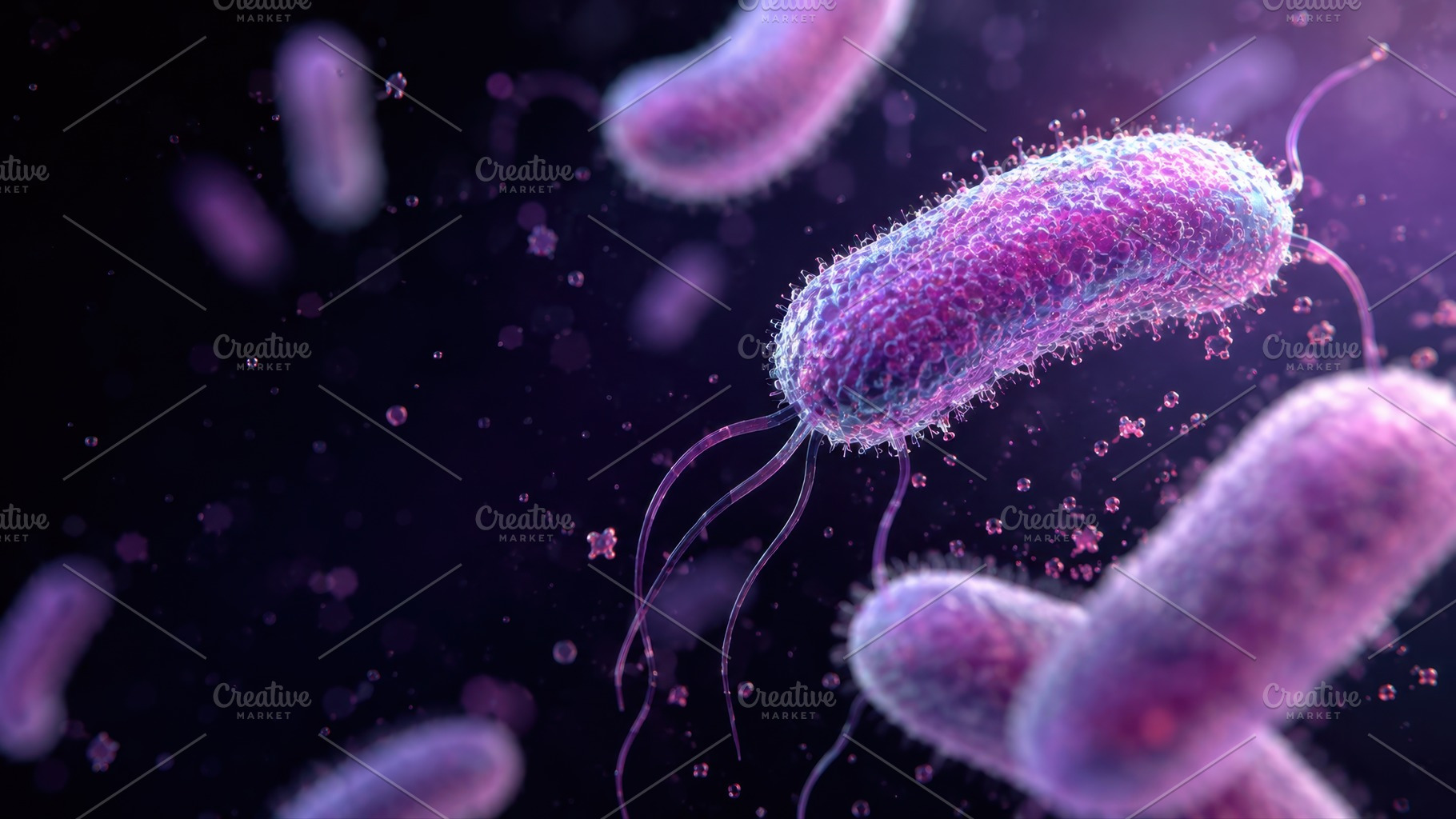 Bacteria in lights dark, a Photo by Beautiful things