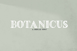 Botanicus A Display Font