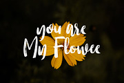 Molliquam - Handwritten Font, a Script Font by Garisman Std (Thumbnail 6 of 8)