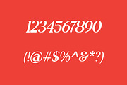 Orelien | Elegant Italic Serif, a Serif Font by Artdez (Thumbnail 2 of 5)