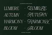 Atelier Blume - Serif & Script Font, a Script Font by agnyhasyastudio (Thumbnail 12 of 17)