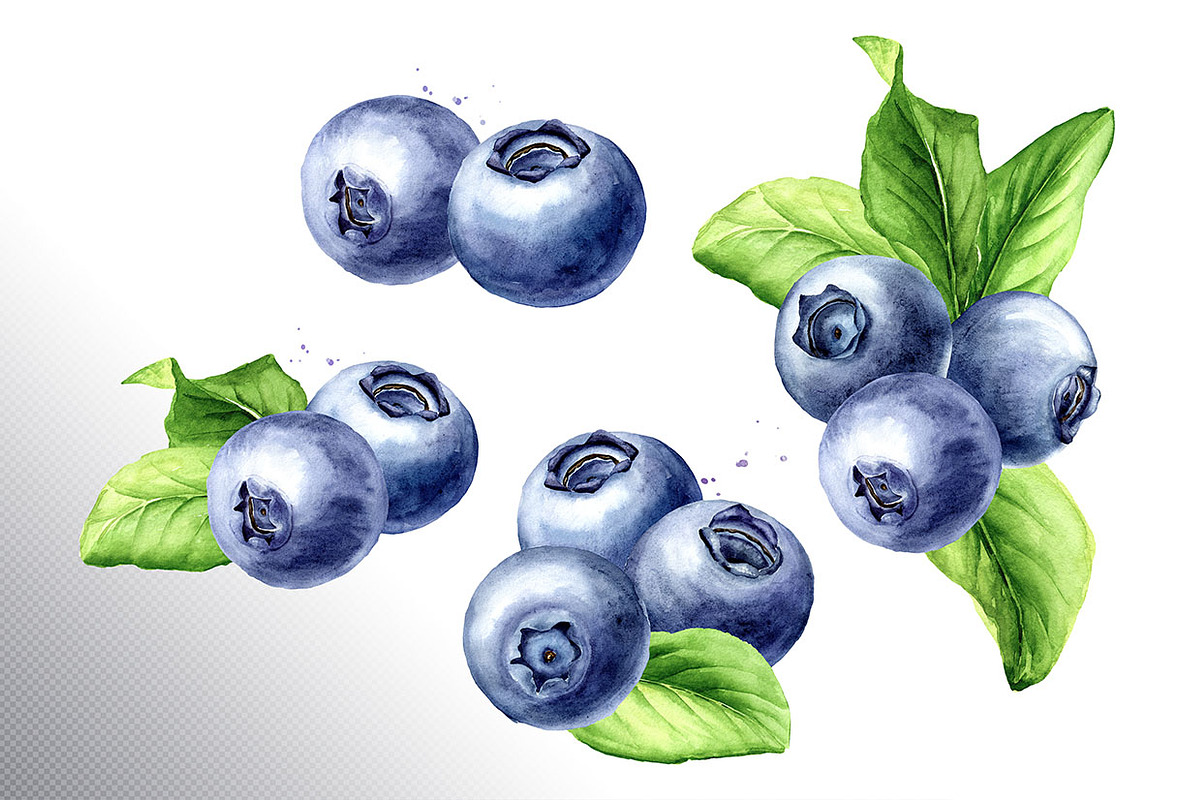 Blueberry. Watercolor collection, a Food Illustration by Daria Ustiugova (Photo 3 of 25)