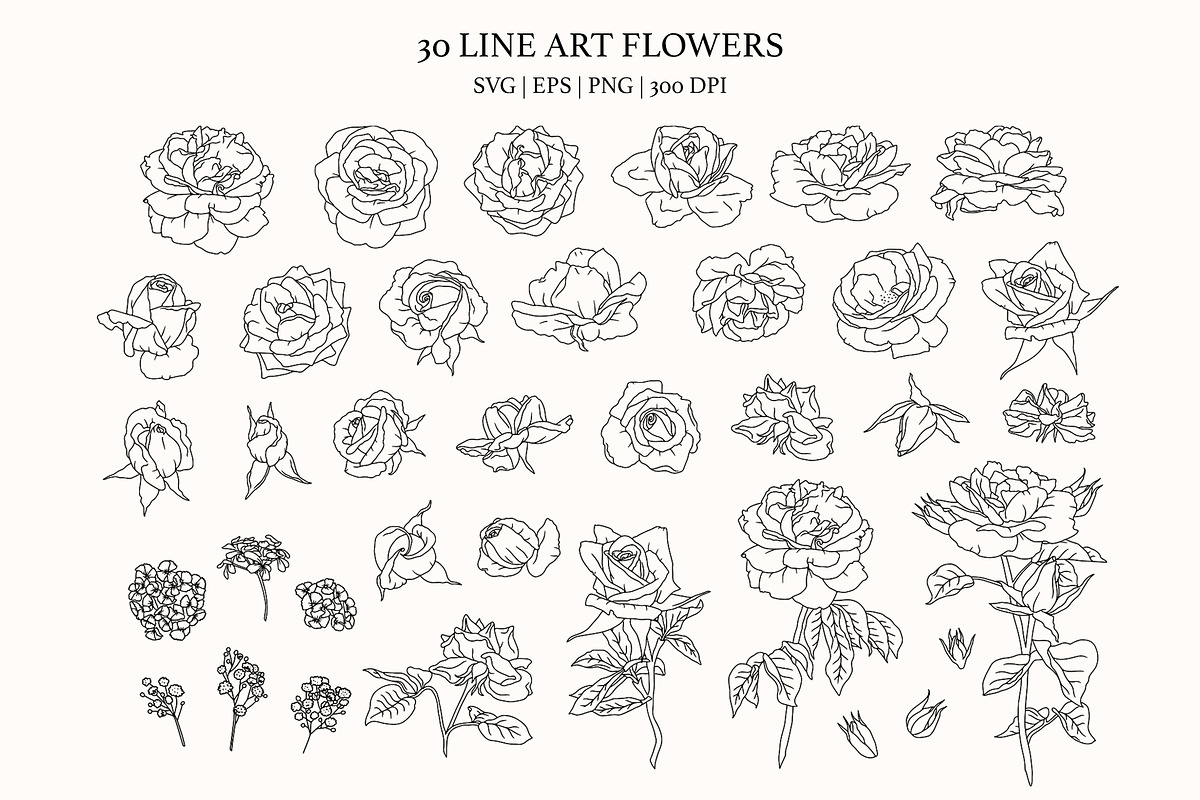Roses & Bows Botanical Bundle, an Object Graphic by Rose Design (Photo 6 of 11)