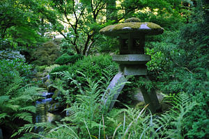 Peaceful zen garden