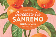 Sanremo Vintage Font Duo, a Handwritten Font by Nicky Laatz (Thumbnail 1 of 26)