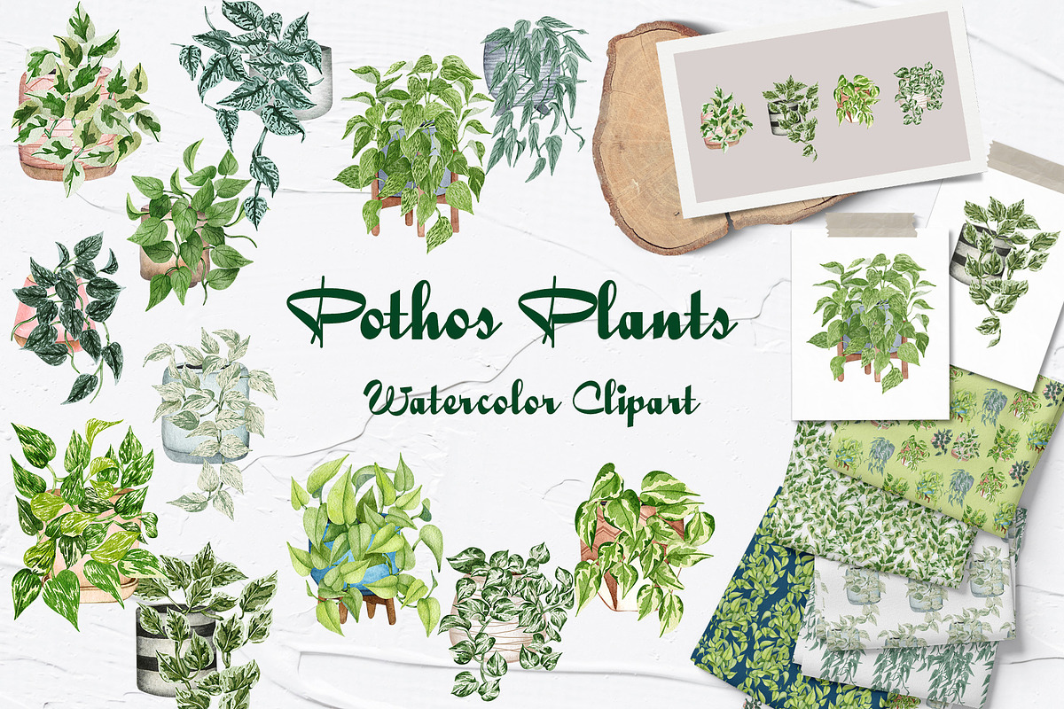 House Plants Watercolor Collection, an Object Graphic by BarvArt (Photo 1 of 8)