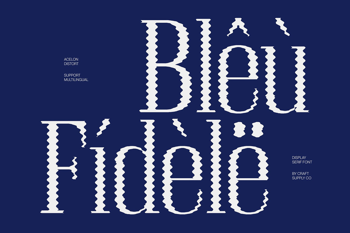 Acelon Distort, a Serif Font by Craft Supply Co. (Photo 7 of 8)